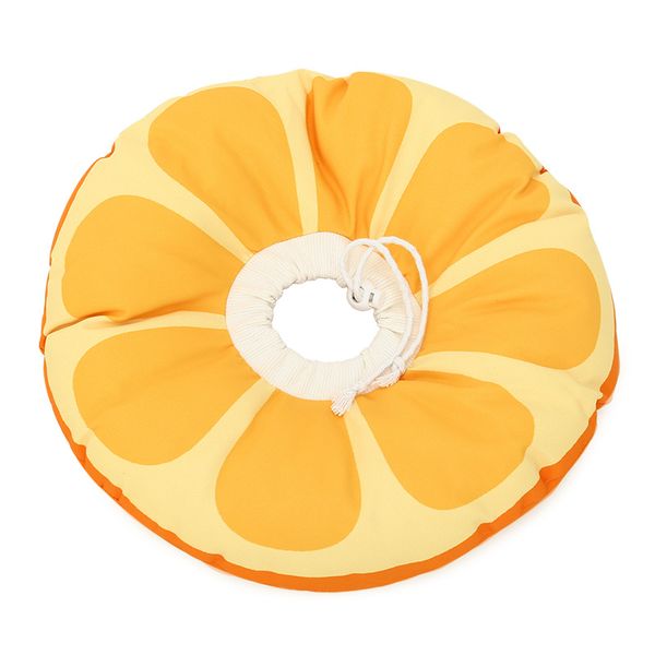 Elizabeth Circle For Cats Kitten Cones After Surgerys To Stop Licking