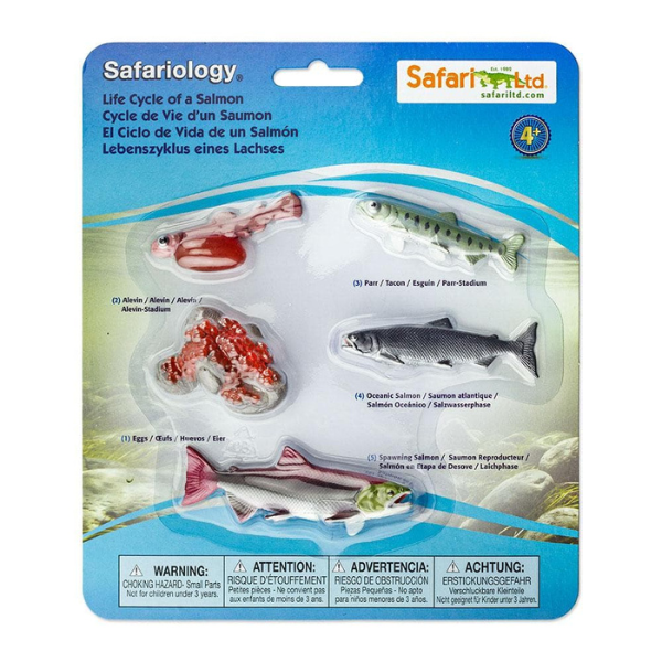 Safari Ltd - Safariology - Life Cycle Of A Salmon