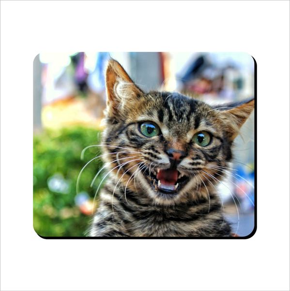 Mouse Pad - Playful Kitten