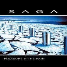 Pleasure and the Pain (Vinyl / 12" Album)
