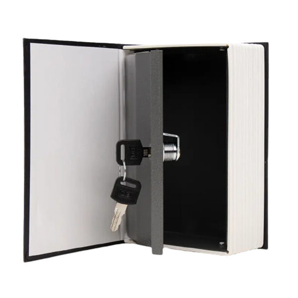 English Dictionary Book Safe