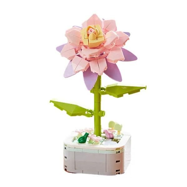 Snowaurora Epiphyllum - Building Blocks