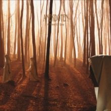 A Time of Day (Vinyl / 12" Album)