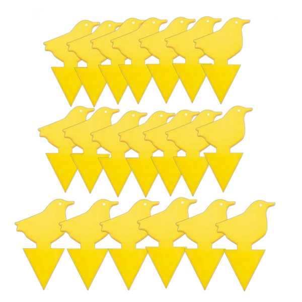 20 pcs Yellow Sticky Bug Traps Fruit Fly Traps Fungus Gnat Traps