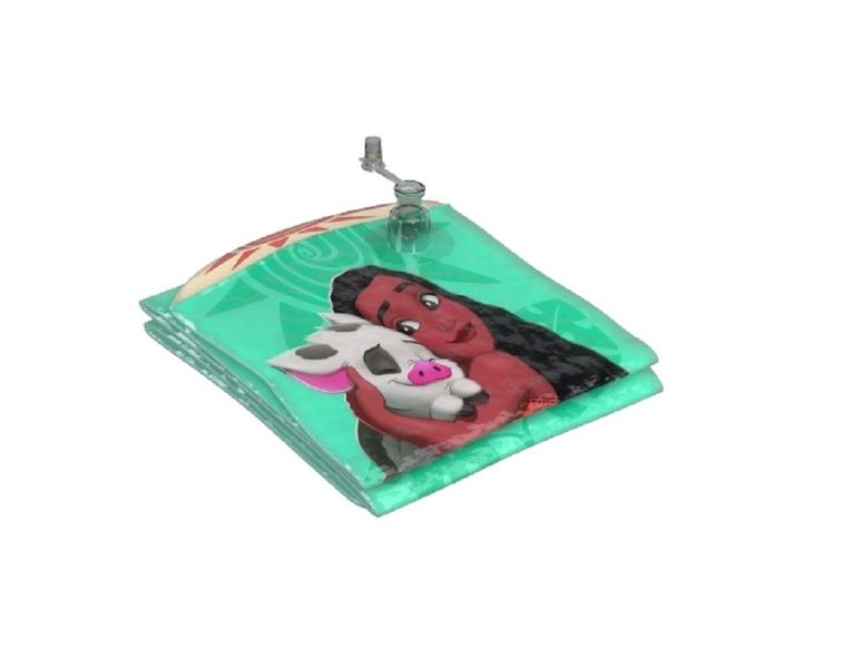 Disney Pool Noodle - Moana