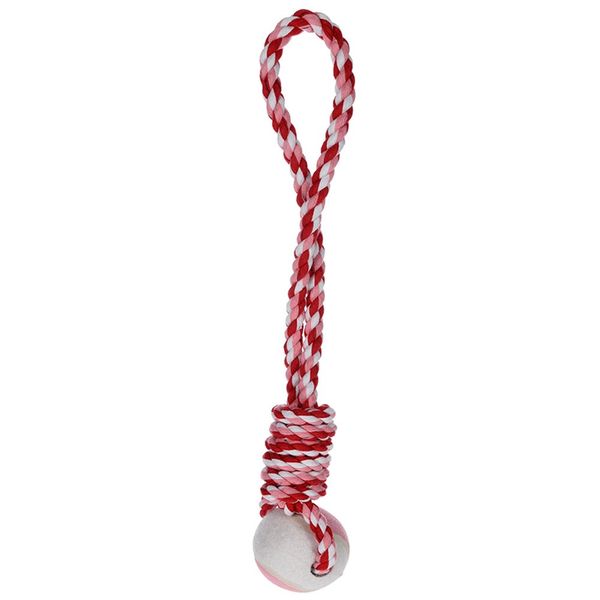 Wiggle Rope Toy with Ball