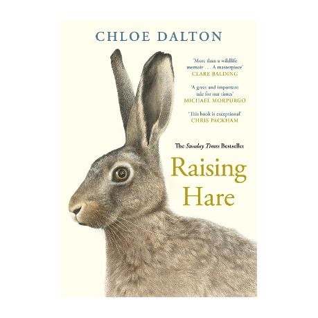 Raising Hare Image