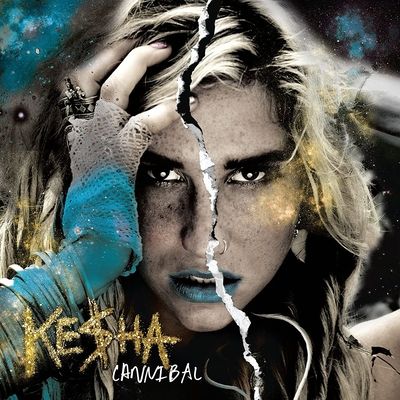 Cannibal (Vinyl / 12" Album)