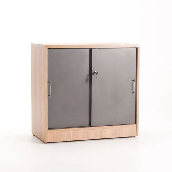 Logo 2 Door Cabinet- Oak