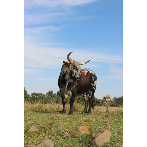 Canvas Wall Art - 1000 x 770 - Nguni