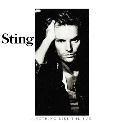 ...Nothing Like the Sun (Vinyl / 12" Album)