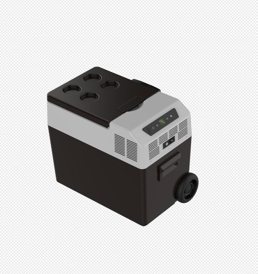 Frozen COOLER FC40 Buy Online in South Africa