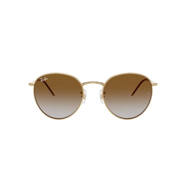 Ray-Ban Round Reverse Sunglasses RBR0103S 001-CB 53