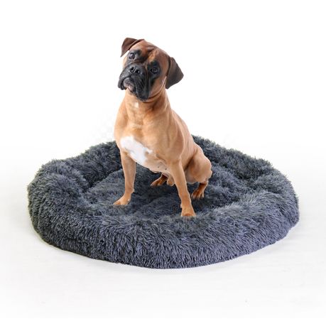 Dog beds outlet takealot