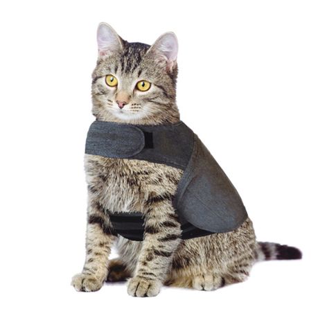 Cat thunder jacket hotsell