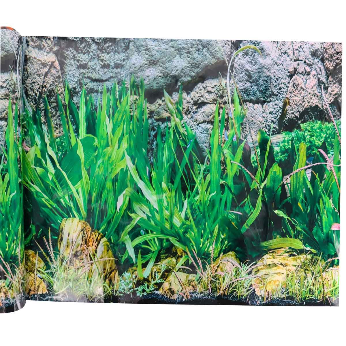 Fish Tank Background Poster - 50Cm x 1.2M - Poster C | Buy Online in ...