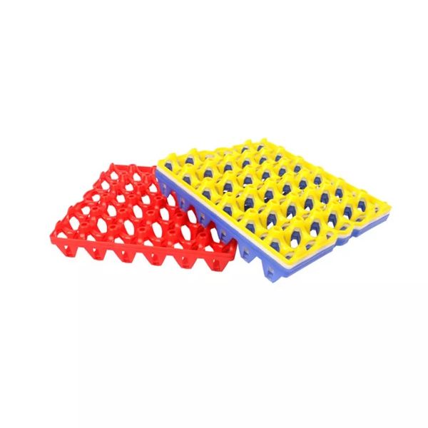 30 Chicken Egg Tray - 12 Pack