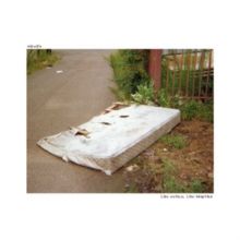 Like Author, Like Daughter (Vinyl / 12" Album (Gatefold Cover))