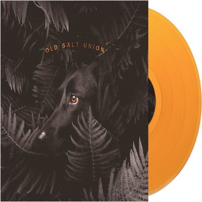 Where the Dogs Don't Bite (Vinyl / 12" Album)