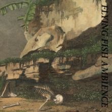 Flying Fish Ambience (CD / Album Digipak)