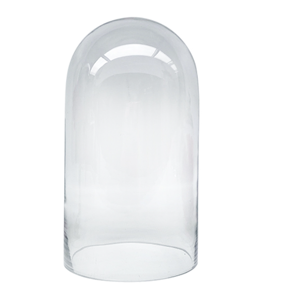 Clear Glass Cylindrical Glass Dome - Cover
