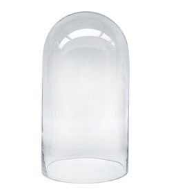 Clear Glass Cylindrical Glass Dome - Cover 