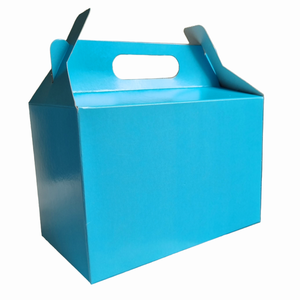 Loot Party Boxes (Pack of 12)