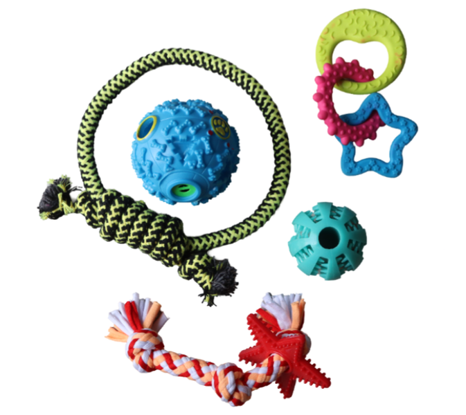 Ultimate Dog Toy Variety Pack - Chew, Fetch, &amp; Play! 5-Piece