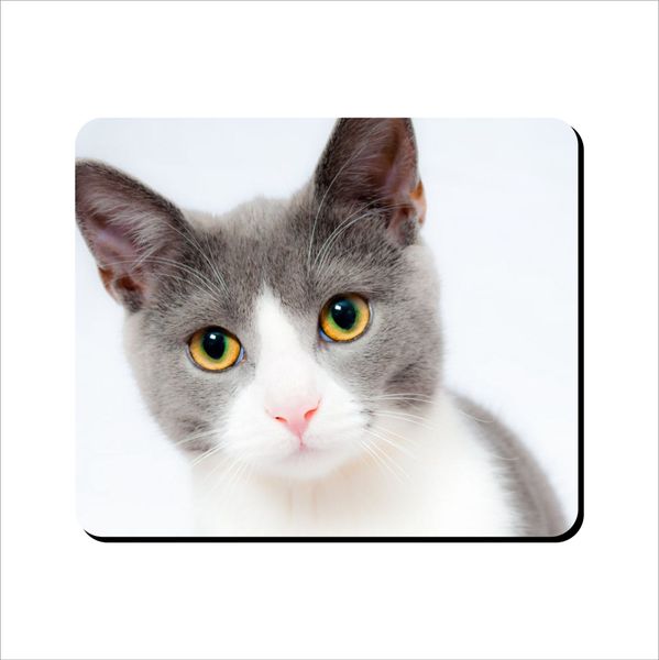 Mouse Pad - Pink Nose Kitty