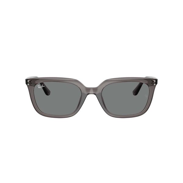 Ray-Ban RB4439D Sunglasses RB4439D 667587 54