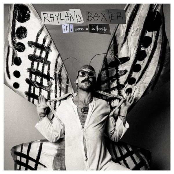 If I Were a Butterfly (Vinyl / 12" Album)