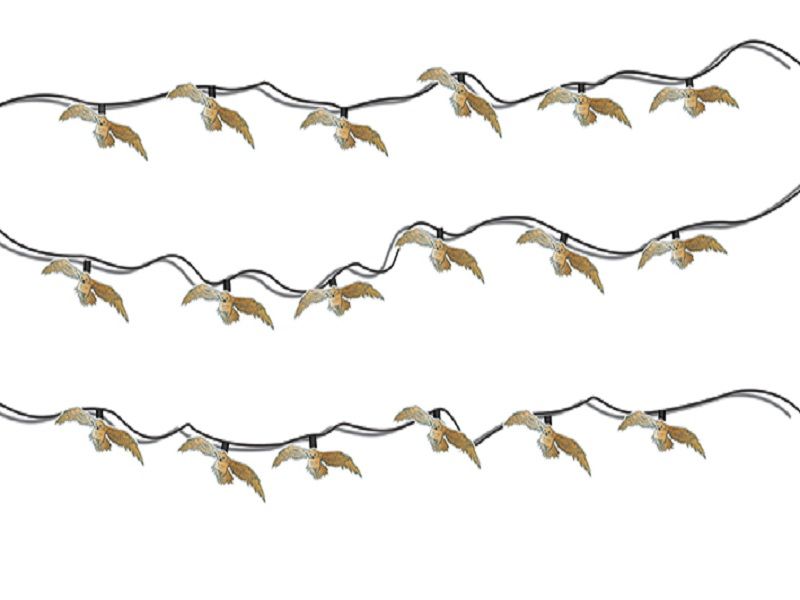 Harry Potter - Owl String Lights (Parallel Import)