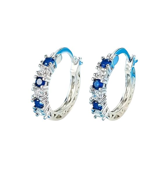 Women's Premium S925 Silver Zirconia Earrings - Silver/Blue