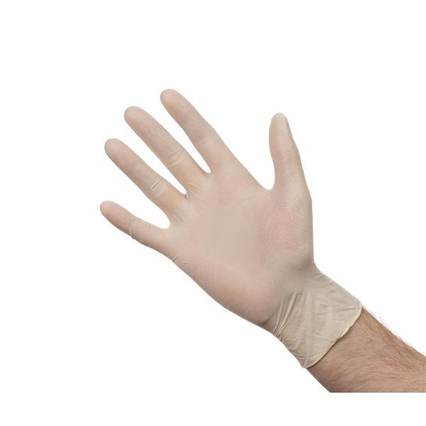 Powder Free latex Gloves (Large)