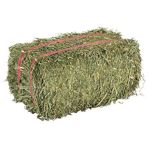 Lucerne Bale as feed for various farm animals, rabbits, Guinea Pigs ect