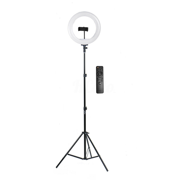 12 inch ring light with stand and remote