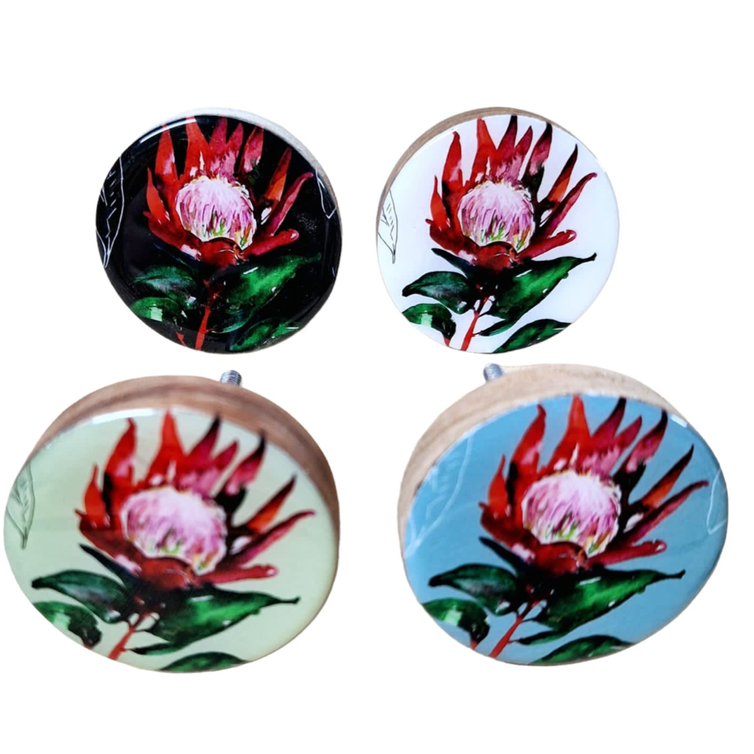 Kiaat Doorknobs Combo 4 Spiky Proteas