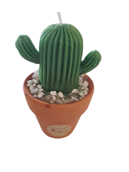 Desert Charm Cactus Candle