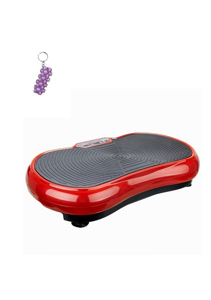 Whole Body Vibration Fitness Machine and A Keyholder