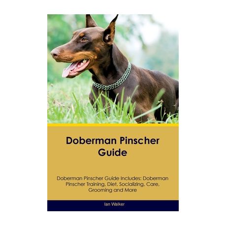 Doberman hot sale training guide