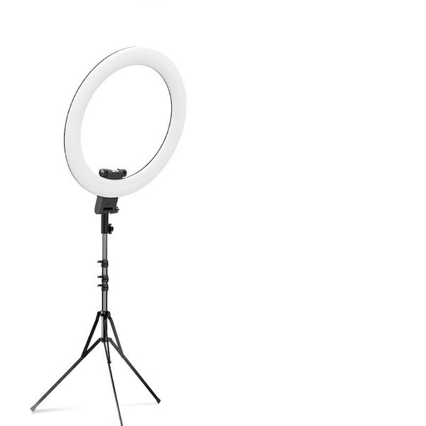 20Inch Ring Lights with Stand