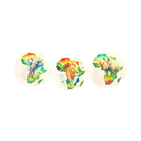 South Africa Fridge Magnet Set of 3