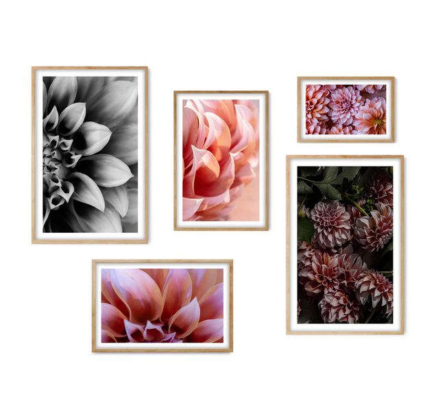 Cape Art Wall Art CURATED 5 Piece On The Coast
