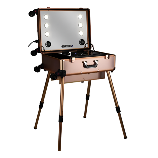 Stylish Lightweight Cosmetic &amp; Music Case - Bronze