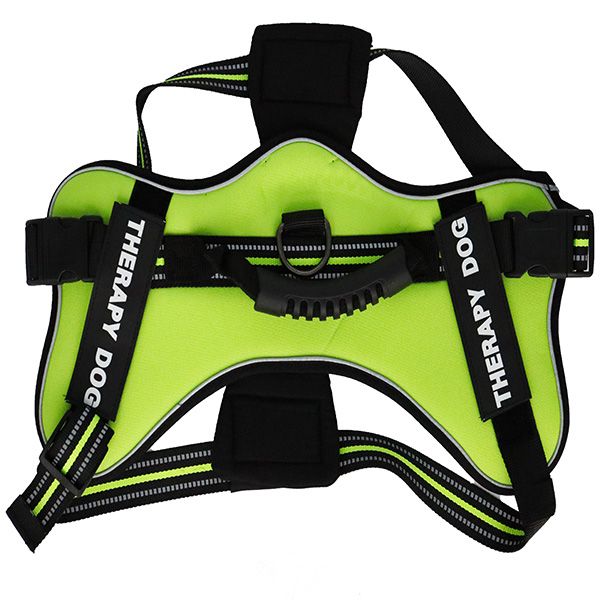 Dog's Life No Pull Control Handle Dog Harness Green