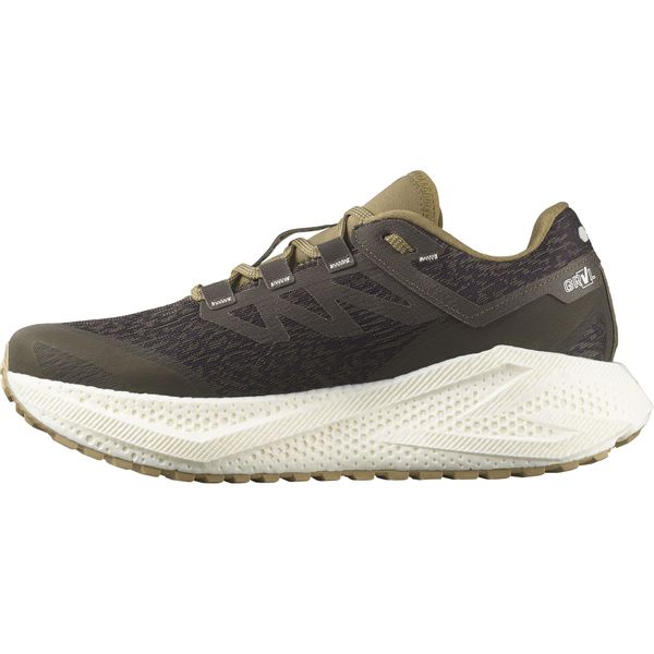 Salomon Men Aero Glide 3 Gravel Running Shoe
