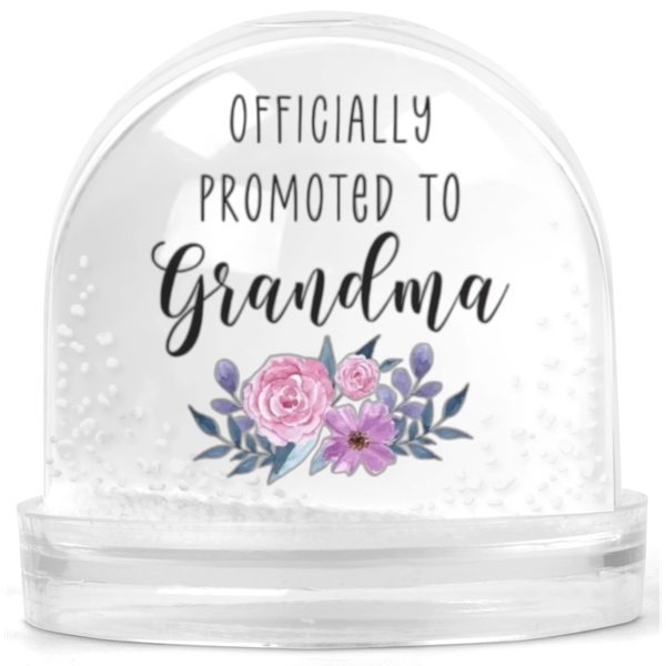 Officially Promoted To Grandma Gift Snow Globe