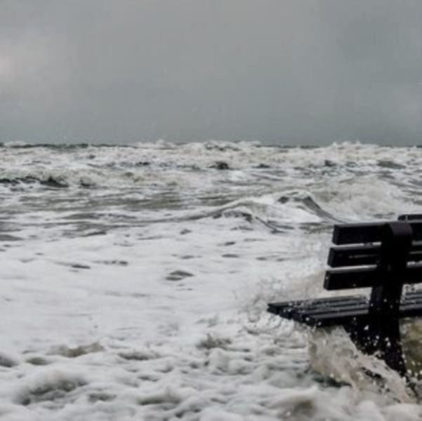 The Starting Errors (CD / Album)