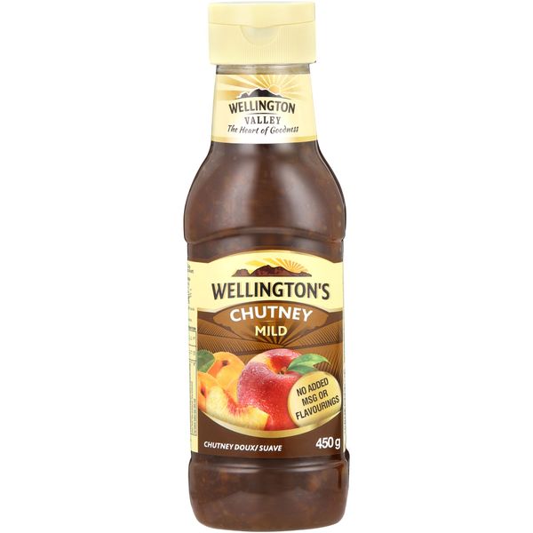 Wellington's Chutney Mild 450g