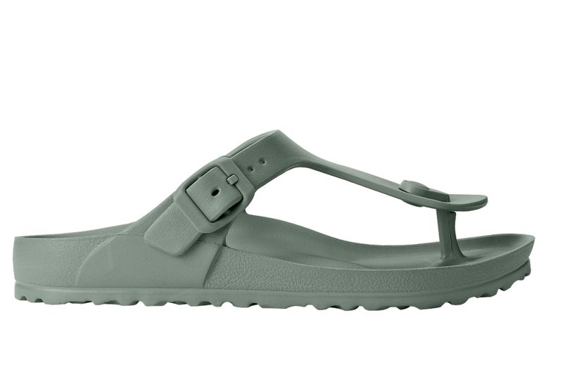 Holster Coastal Seagrass